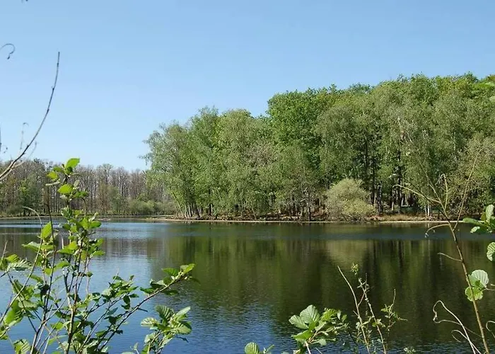 Aux Abords De La Forêt Casa de Férias